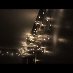 Meet your Posher, Toby